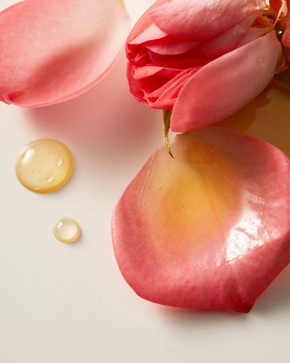 Safya's Oil Elixir